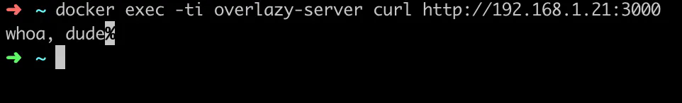 Making an HTTP request to a node.js server running inside of an AWS Lambda function.