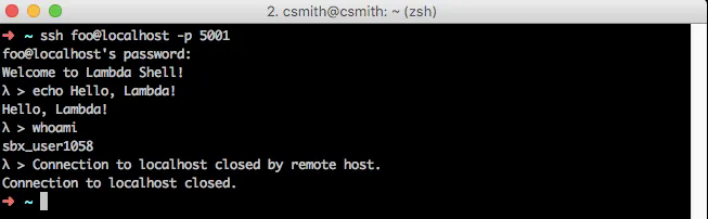 Interacting with the AWS Lambda Environment using faasssh