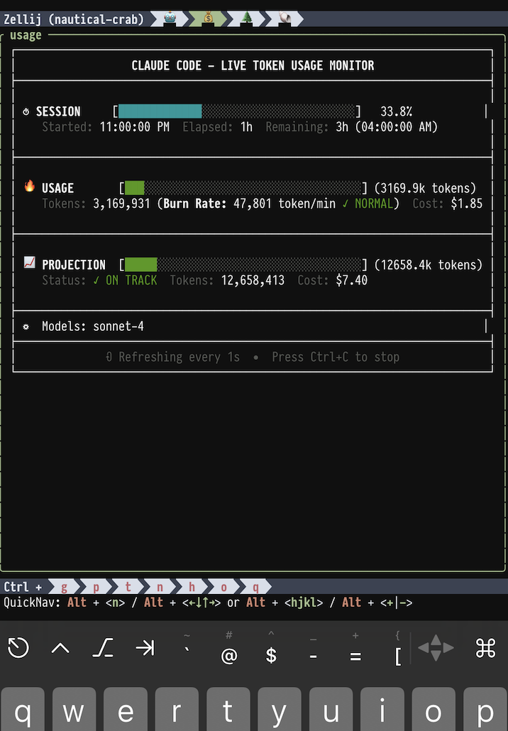 Claude Code monitoring interface